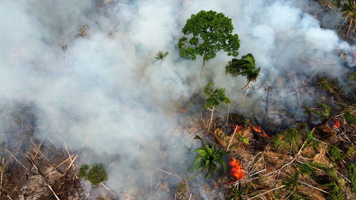Arial view of burning rainforest. Photo.
